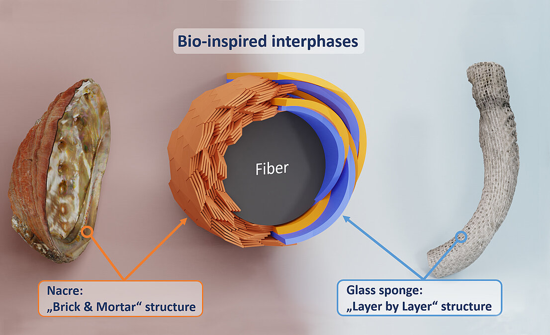 the graphic shows an example for an bio-inspired design of the interface between reinforcement fibre and mineral-based matrix
