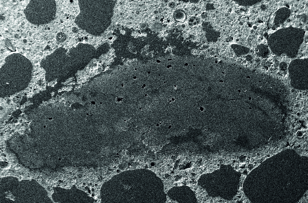 Das Bild zeigt eine REM-Aufnahme eines in Beton konsolidierten Carbonrovings