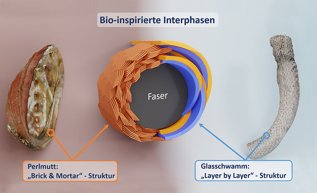 zu sehen ist das Prinzip für ein bio-inspiriertes Design der Grenzschicht zwischen Bewehrungsfaser und mineralisch basierter Matrix