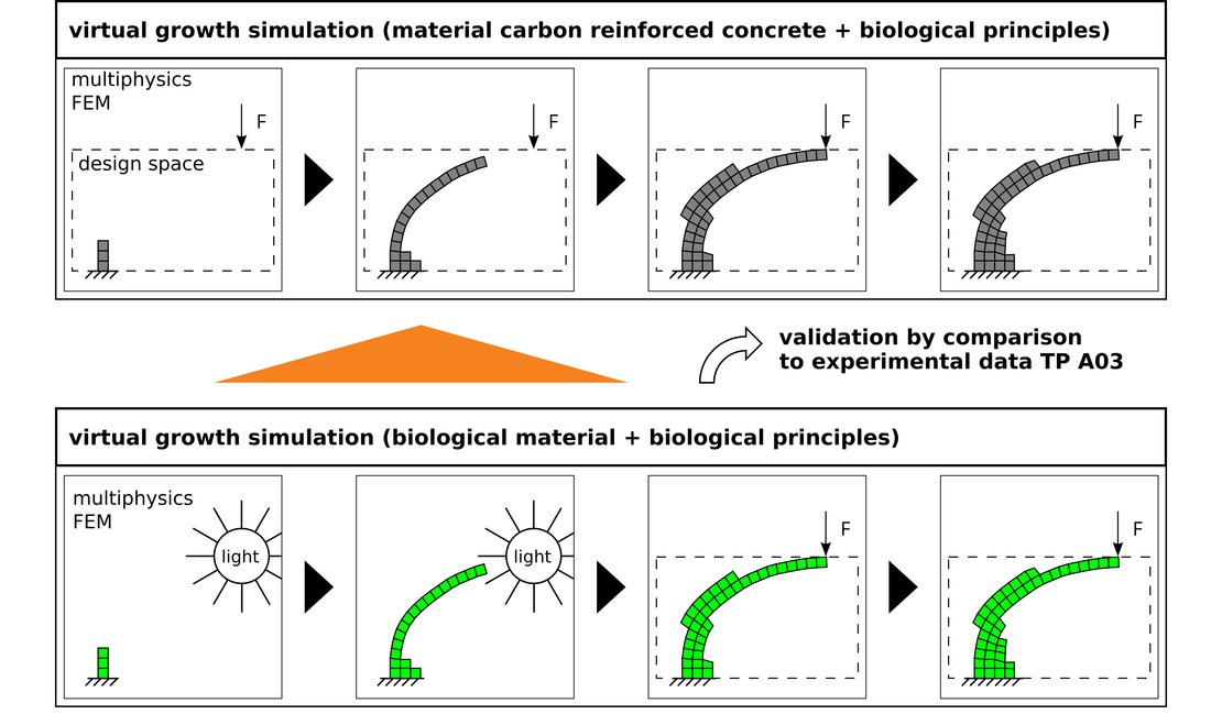 Graphic shows the functionality of the structure generator